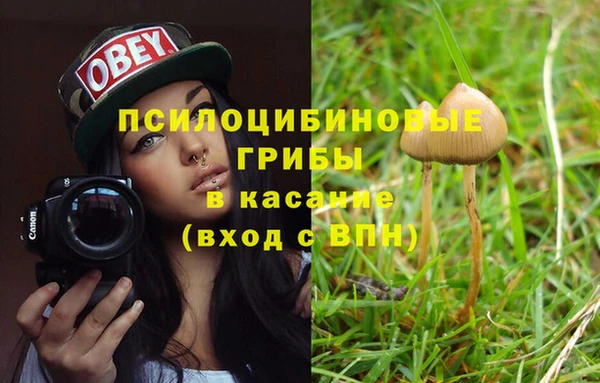 а пвп мука Алексин