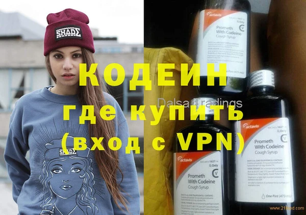 индика Алзамай