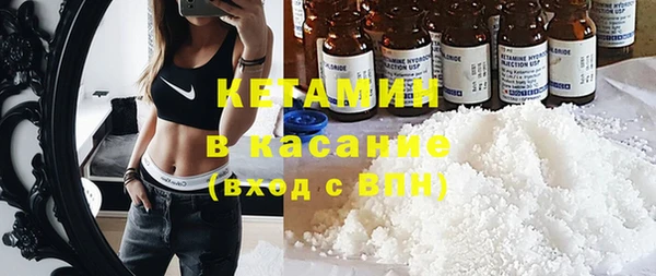 индика Алзамай