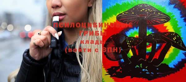индика Алзамай