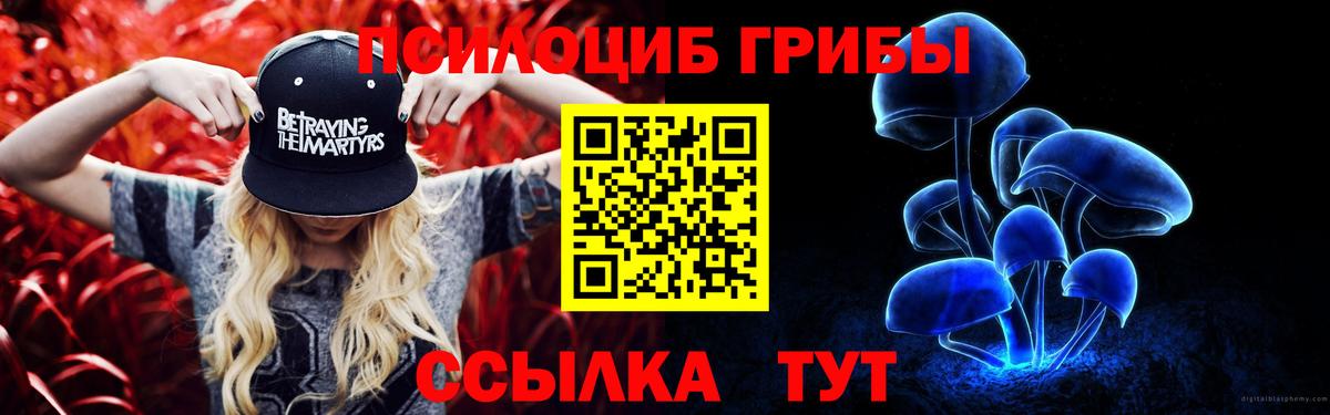 Псилоцибиновые грибы мухоморы Салават